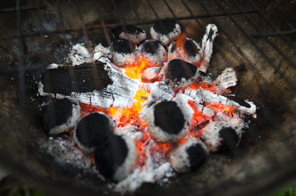 Summer BBQ Bonanza: Grilling Recipes and Outdoor Entertaining Ideas