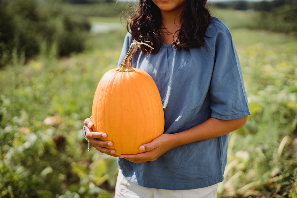 Fall Comfort Foods: Cozy Recipes Featuring Autumn Harvest Ingredients