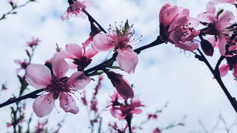 Spring Produce Spotlight: My Favorite Recipes with Seasonal Veggies