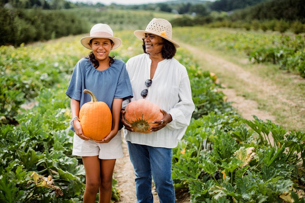 Fall Harvest Feast: Recipes to Celebrate the Bounty of the Season