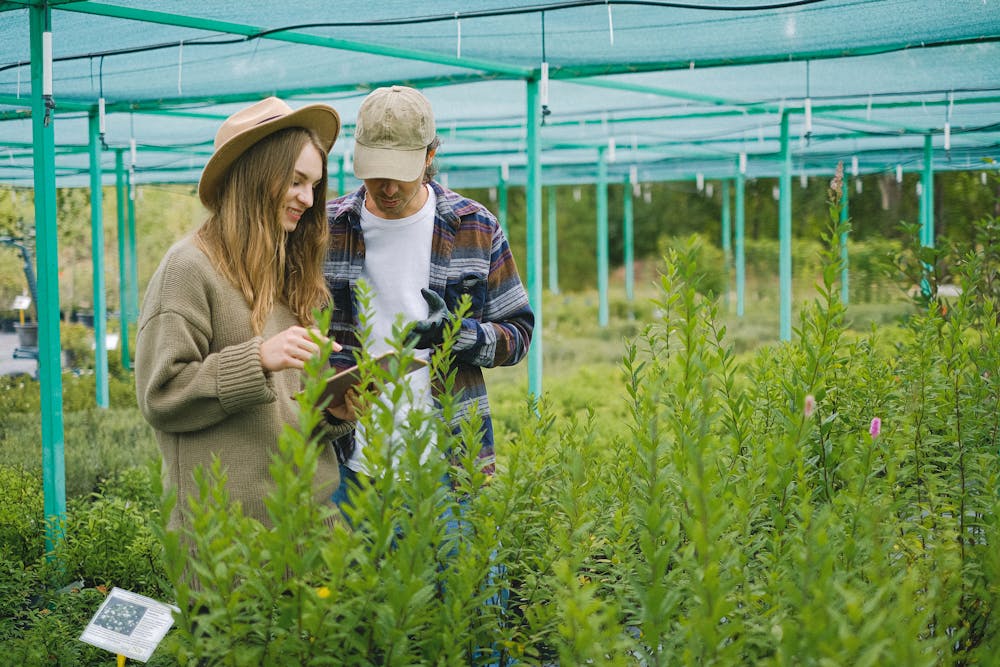 Social Connection and Well-Being: Cultivating Meaningful Relationships for Health