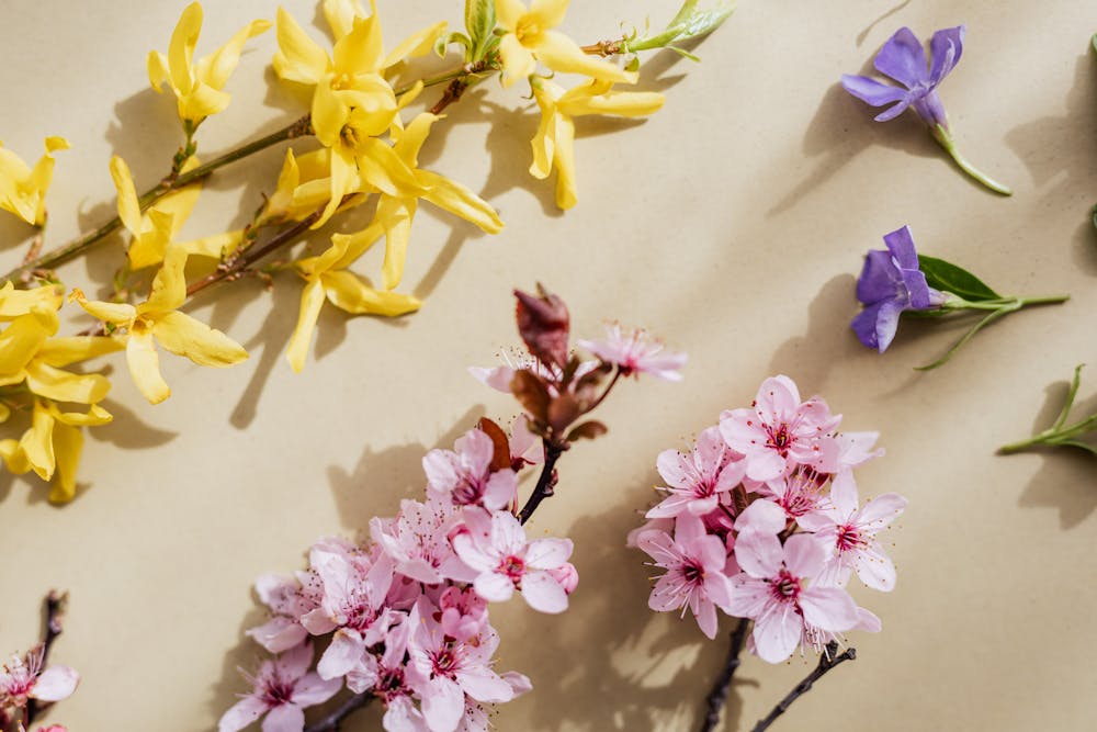 Fresh Spring Salads: Recipes Bursting with Seasonal Flavors and Colors