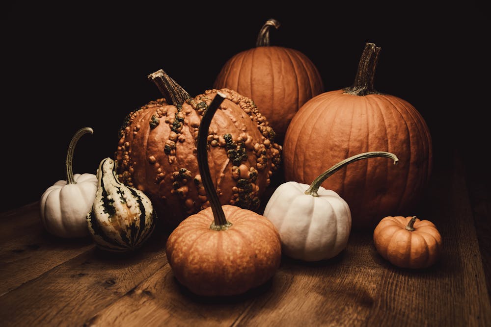 Fall Harvest Feast: Recipes to Celebrate the Bounty of the Season