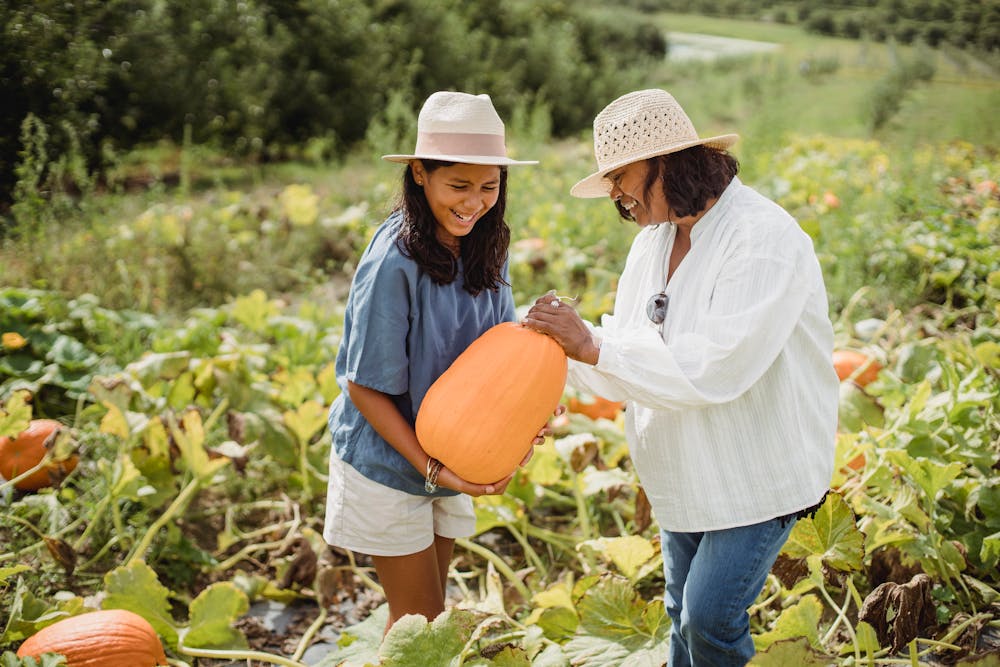 Fall Harvest Feast: Recipes to Celebrate the Bounty of the Season