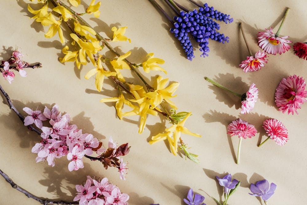 Fresh Spring Salads: Recipes Bursting with Seasonal Flavors and Colors