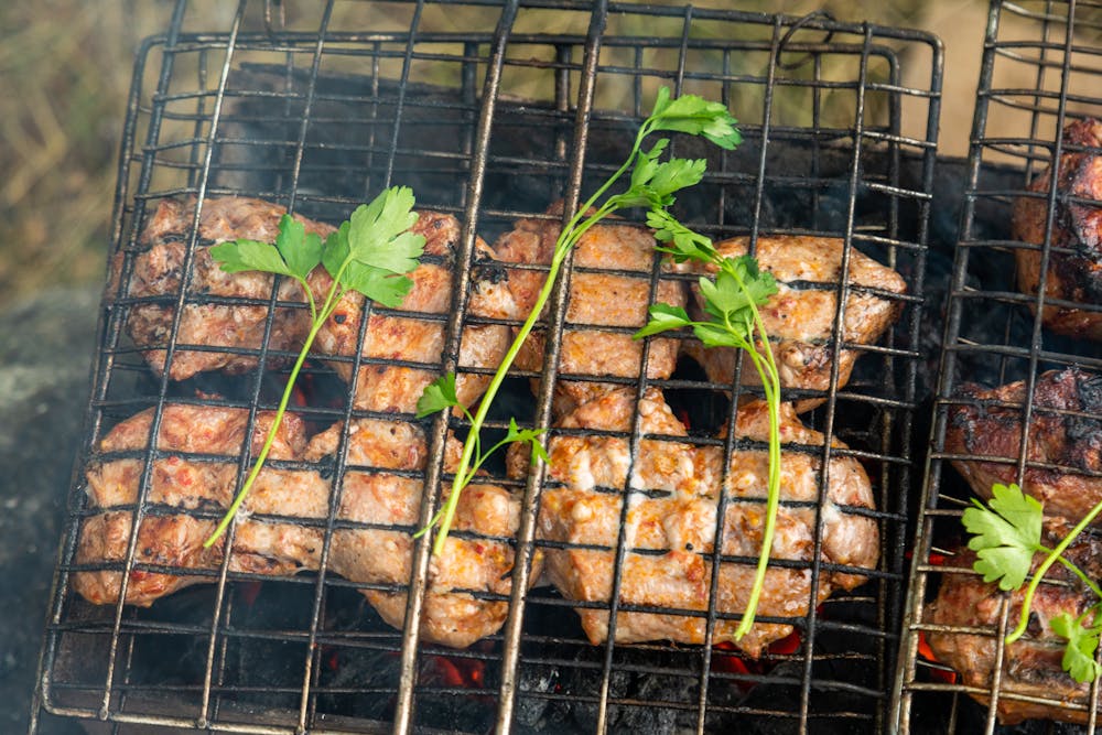 Summer BBQ Bonanza: Grilling Recipes and Outdoor Entertaining Ideas