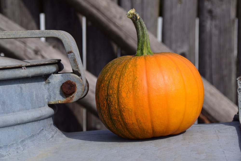 Fall Comfort Foods: Cozy Recipes Featuring Autumn Harvest Ingredients